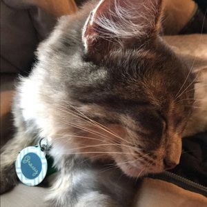 Meet your Posher, Haley